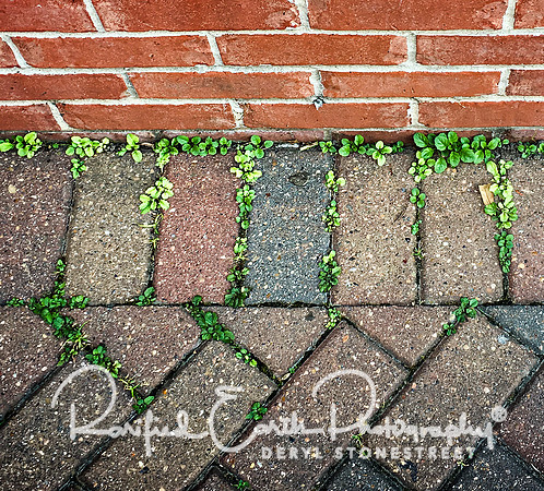 Lines FineArt_REP0271