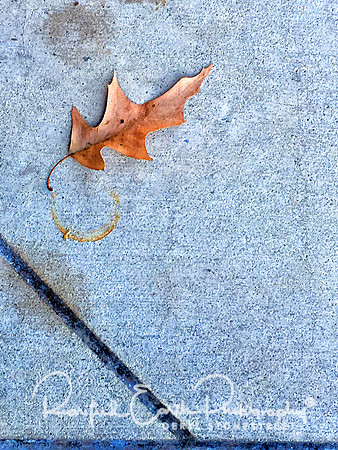 Starbucks Folly FineArt_REP0239