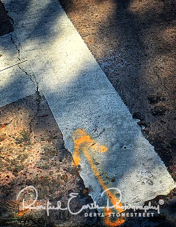 This Way FineArt_REP0234