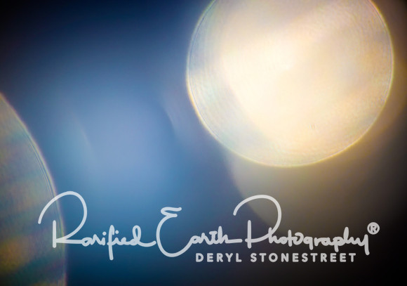Specular Light FineArt_REP0258