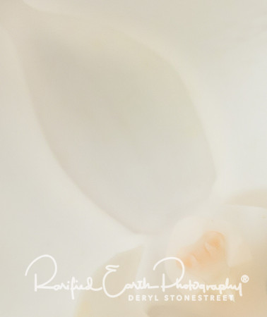 FineArt_REP0102