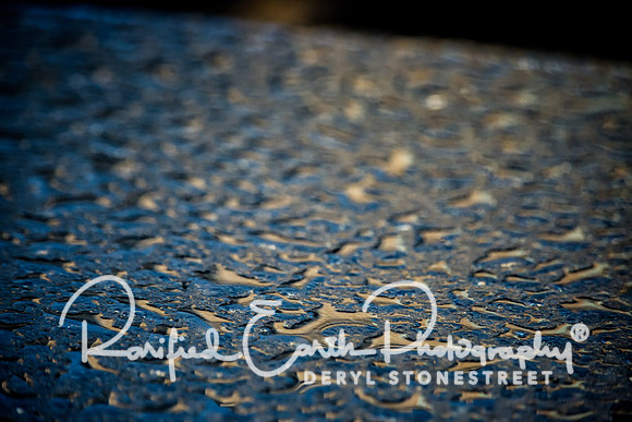 Early Morning Condensation FineArt_REP0232