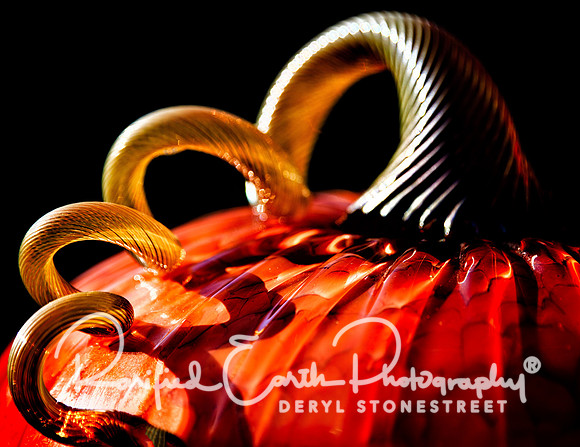 Glass Pumpkin FineArt_REP0248