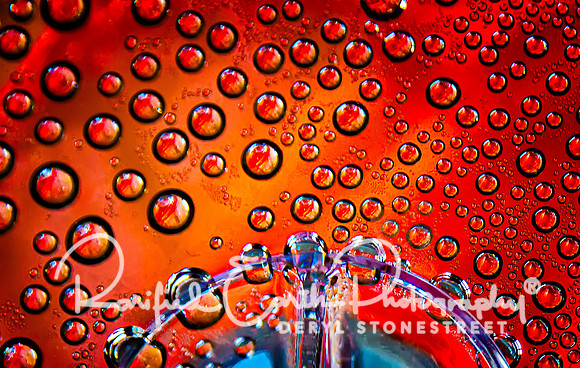 Dots FineArt_REP0268_crop