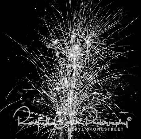 FineArt_REP0336