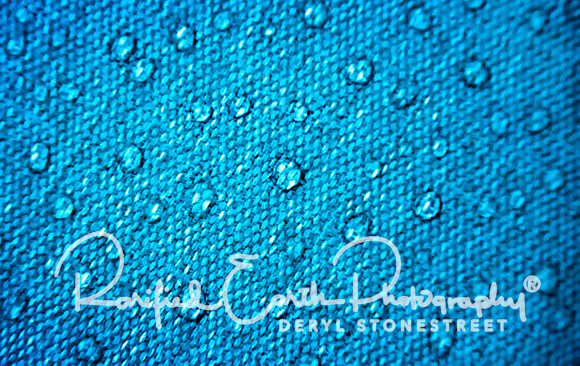 Raindrops FineArt_REP0245