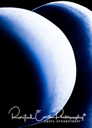 FineArt_REP0353
