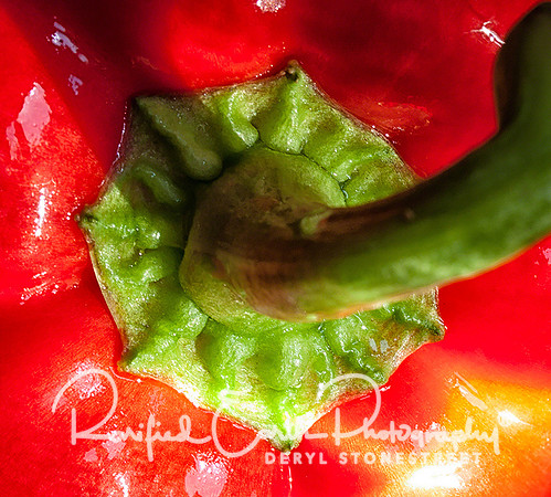 Red Pepper FineArt_REP0063_a