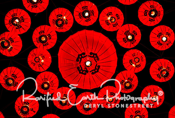 FineArt_REP0354