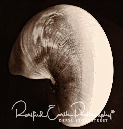 FineArt_REP0002