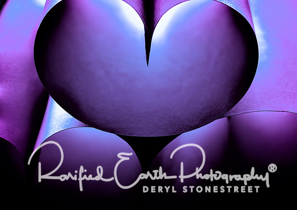 FineArt_REP0323