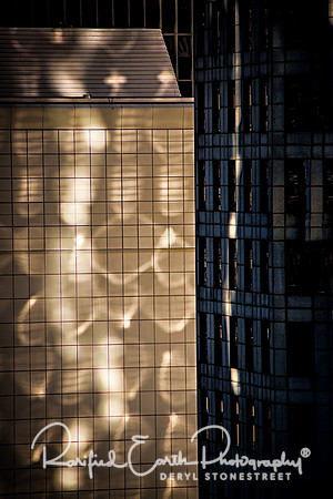 Light Dance FineArt_REP0280
