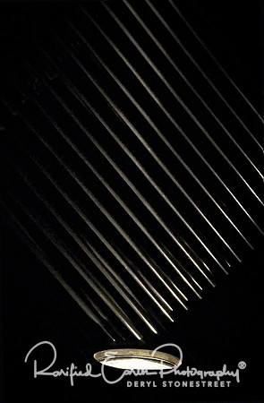 Sleuthing FineArt_REP0269